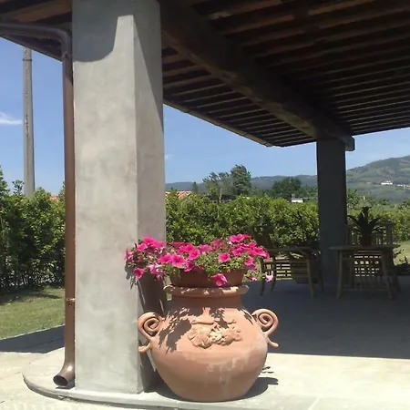 In Placed In A Residential Area, Services Nearby * Lucca