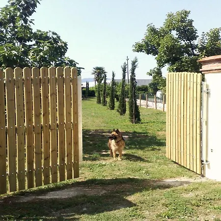 Villa In Placed In A Residential Area, Services Nearby Lucca